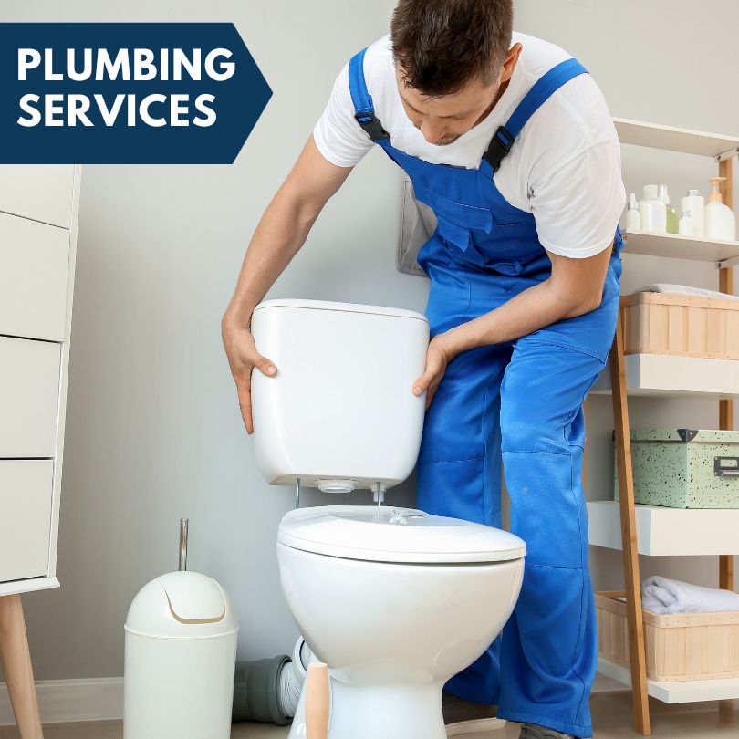 Plumbing Company in Noble, IL